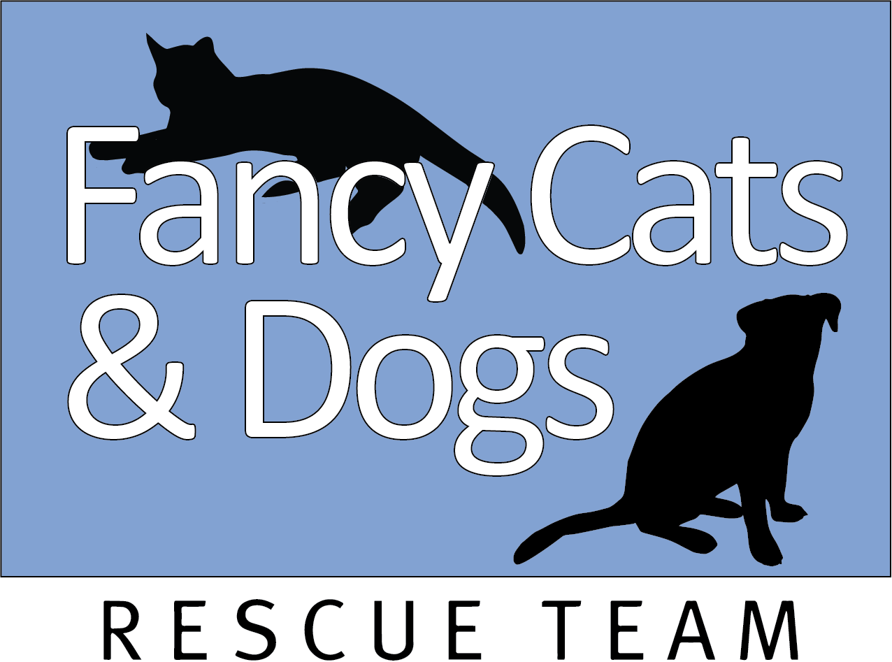 rennie dobbs fancy cats rescue team volunteer